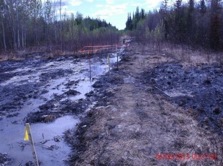 Apache Corporation waste water spill kills 42 hectares of boreal forest
